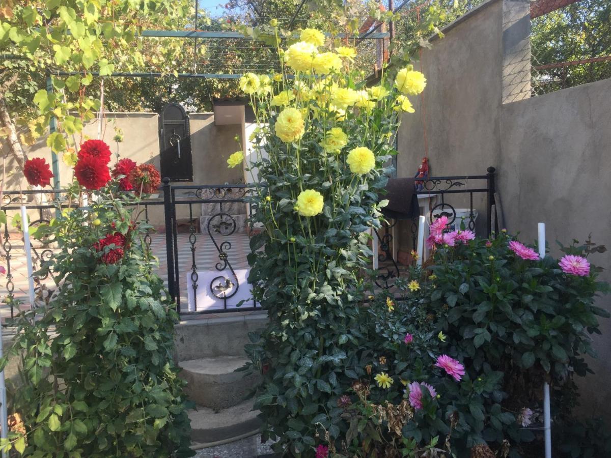 Apartament Sofia Tiflis Dış mekan fotoğraf